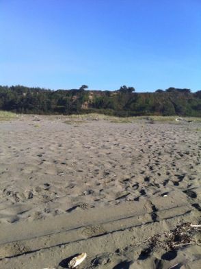 dunes up table bluff