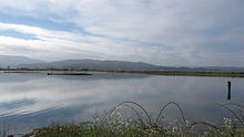 220px-Arcata_Marsh